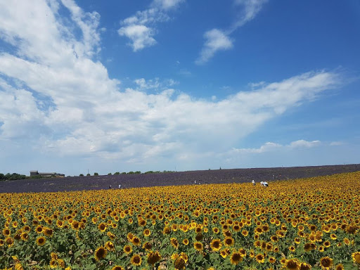 Les Taxis Le Grand ont pour commune de stationnement Cabriès - Aix Gare TGV. Taxi Privé et conventionné pour vous conduire dans le Pays d'Aix en Provence.